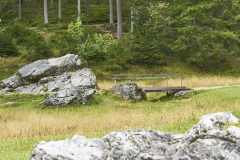 Gruener-See-14
