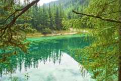 Gruener-See-15