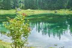 Gruener-See-18