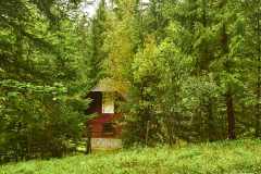 Gruener-See-2
