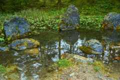Gruener-See-3