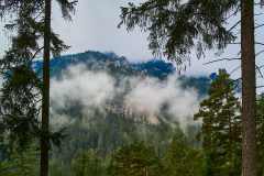 Gruener-See-4