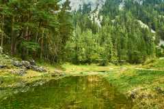 Gruener-See-7