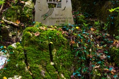 JJS04644