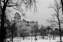 burgliechtenstein-11
