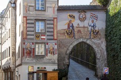 IMG_2096